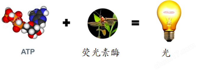 第二代ATP微生物活性快速检测仪